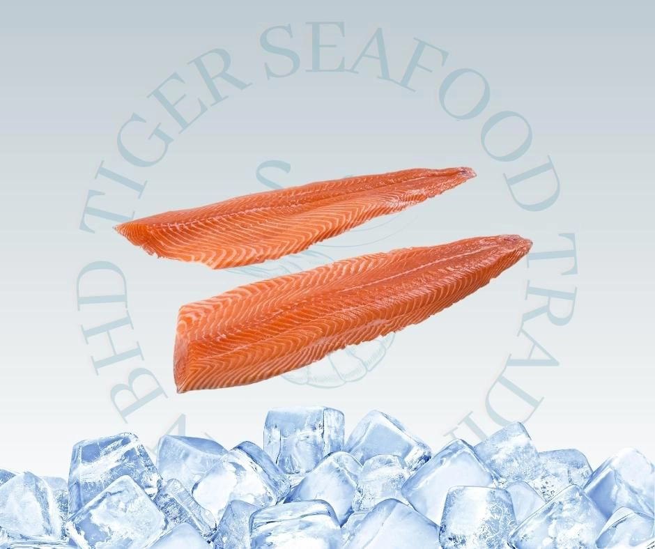 SALMON FILLET