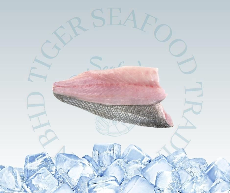 BARRAMUNDI SIAKAP FILLET