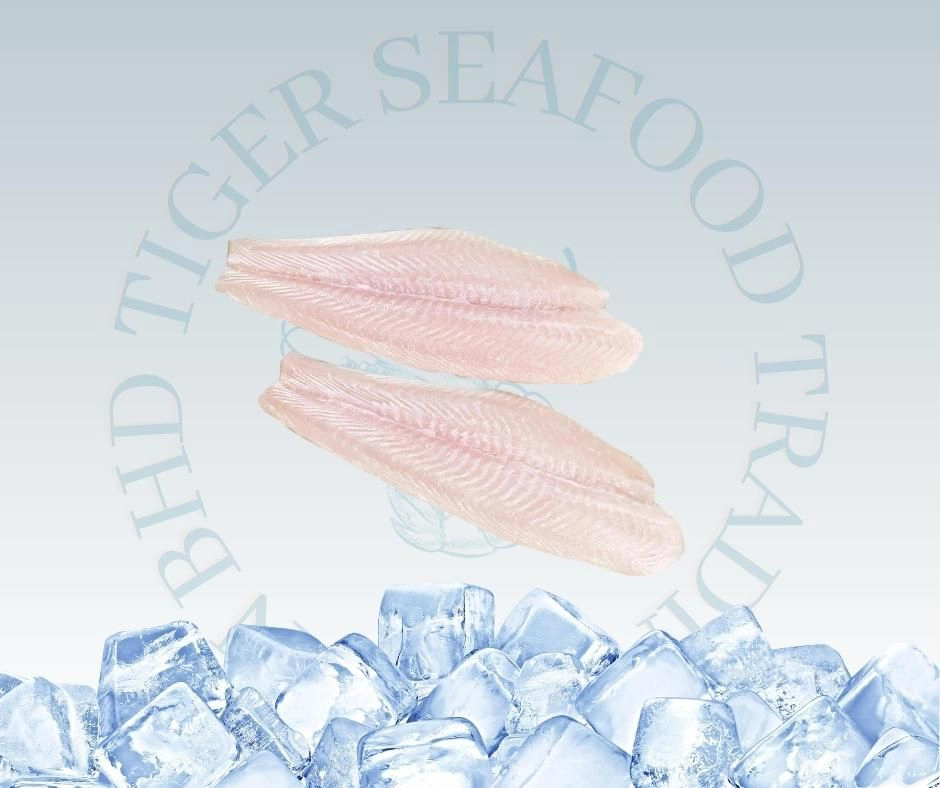 DORY FISH