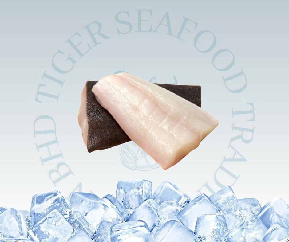 HALIBUT FILLET