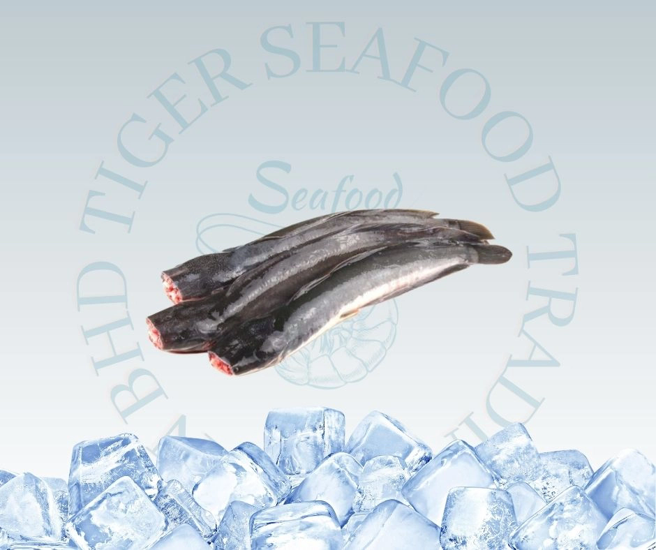 IKAN PARI