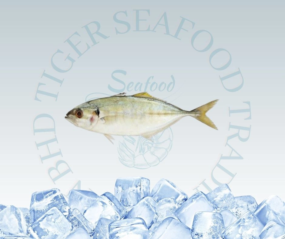 Ikan Selar