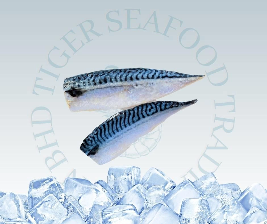 MACKEREL SABA FILLET 500G