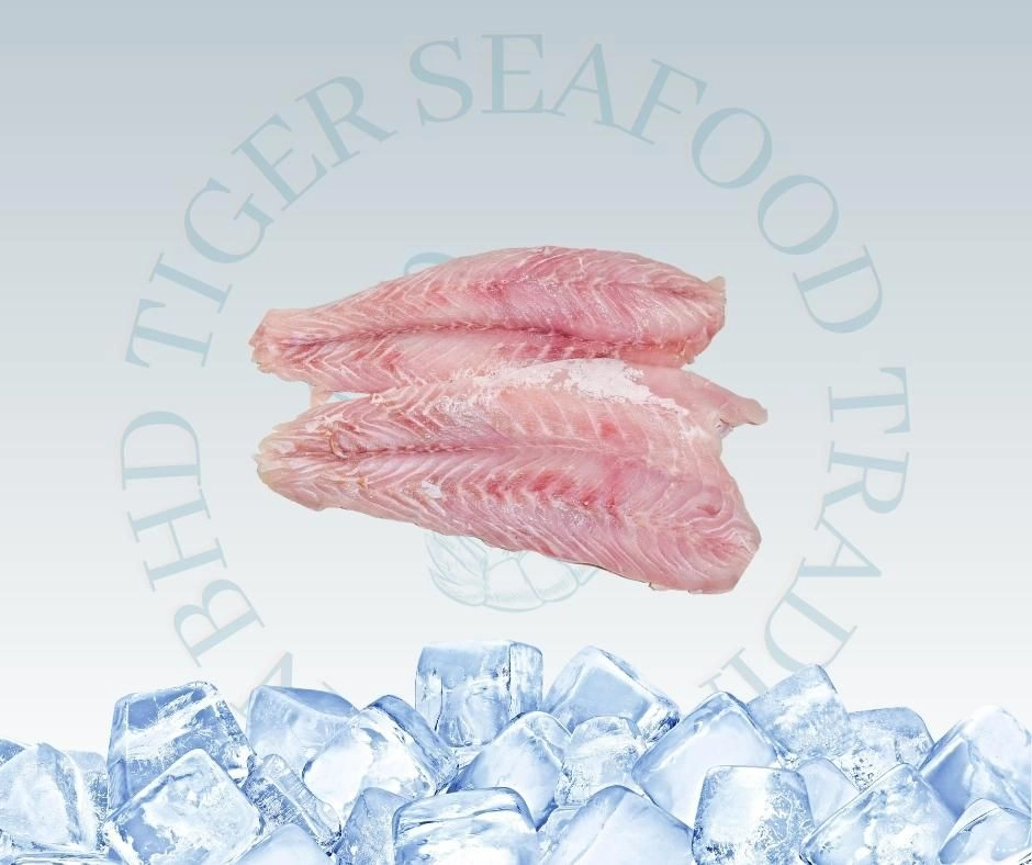 RED FISH FILLET 1KG