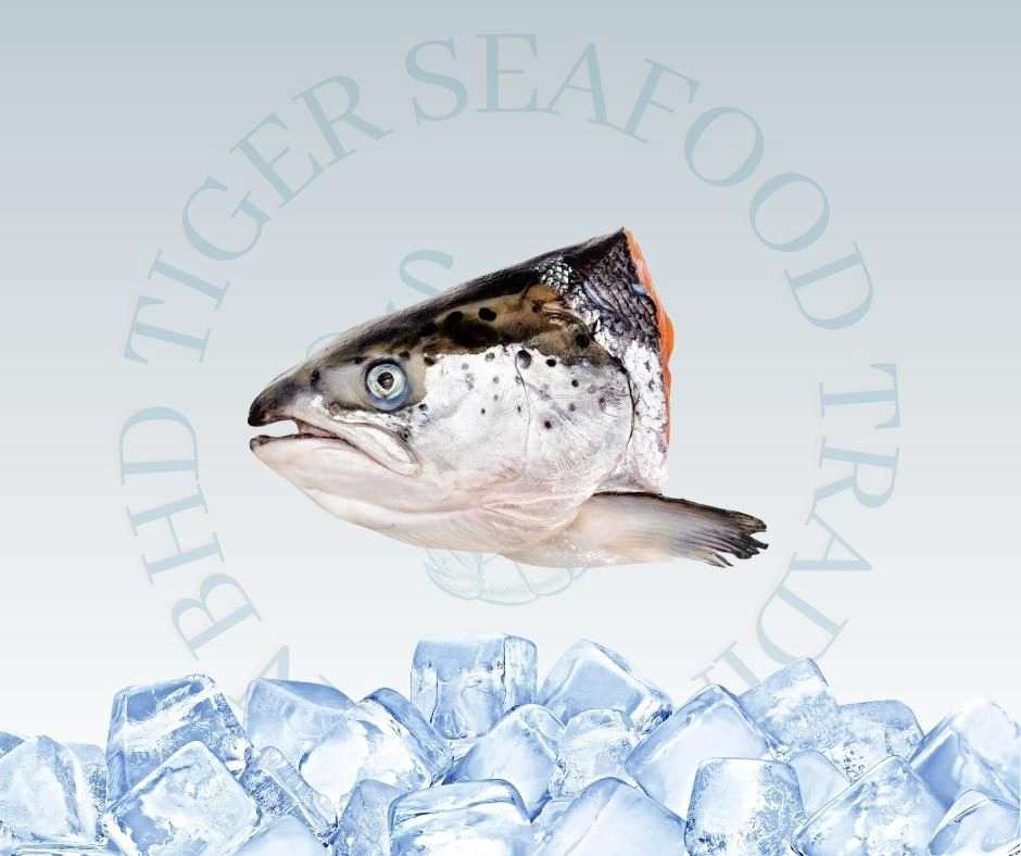 Salmon Head 400G+