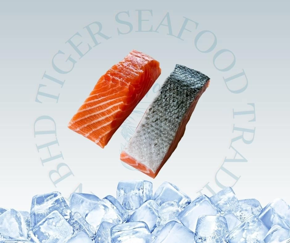 SALMON PORTION