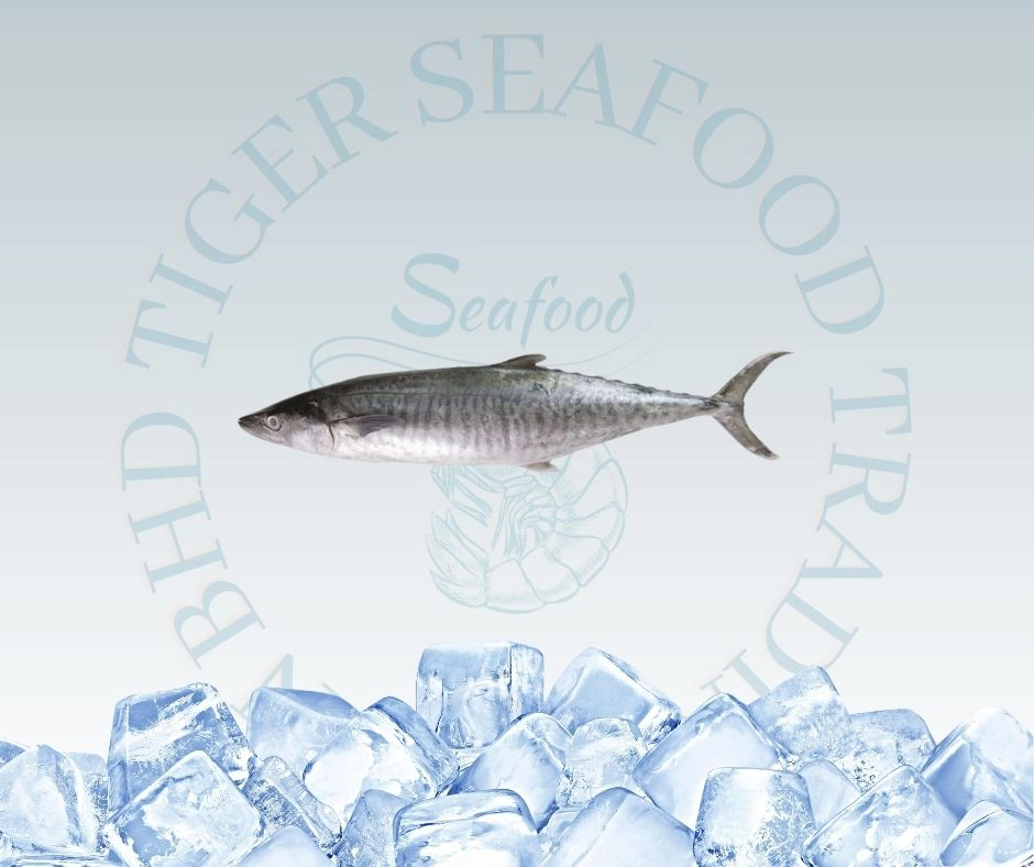 IKAN TENGGIRI