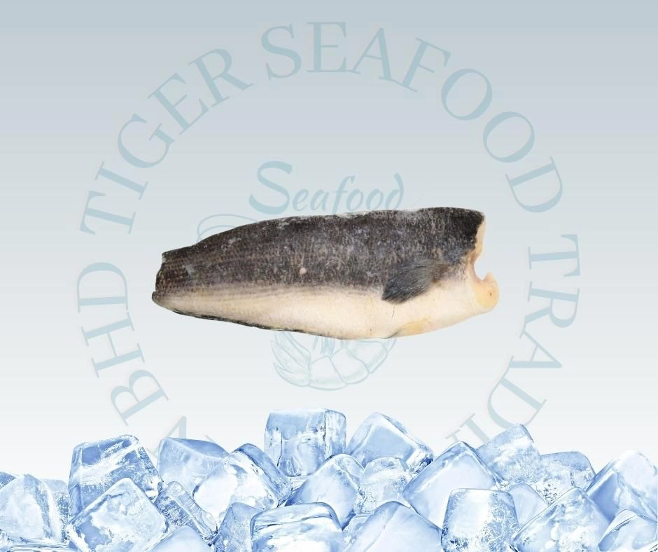 TOMAN FISH FILLET