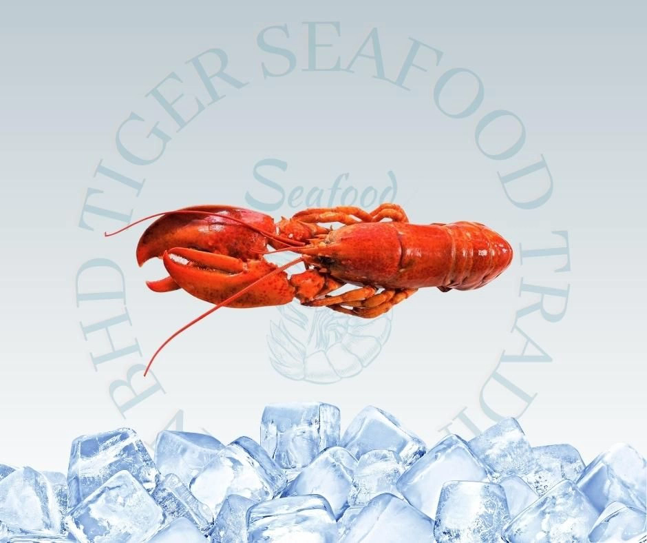 Boston Cooked Lobster