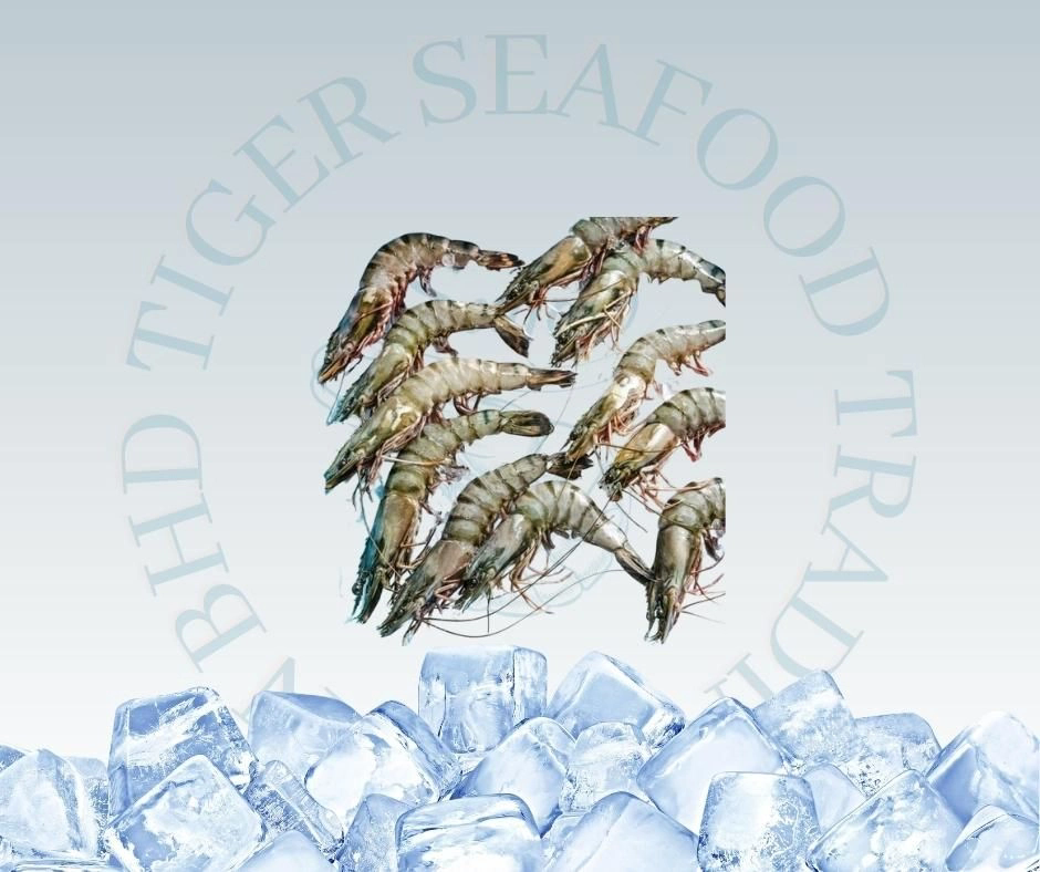 FRESH TIGER PRAWN