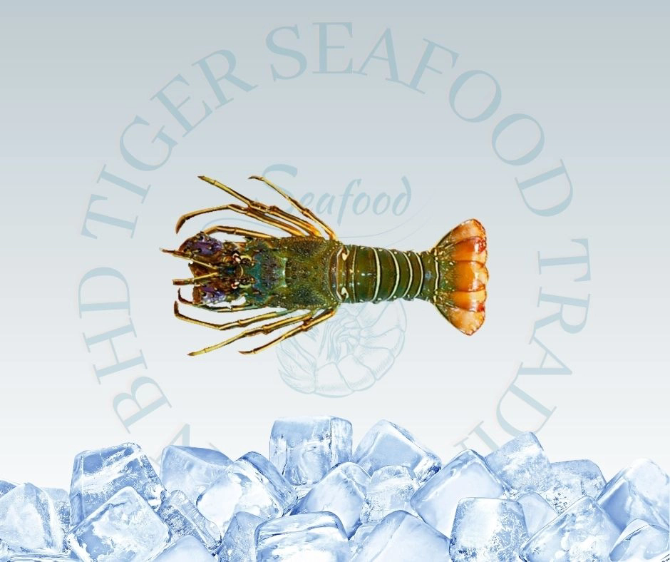 Green Lobster