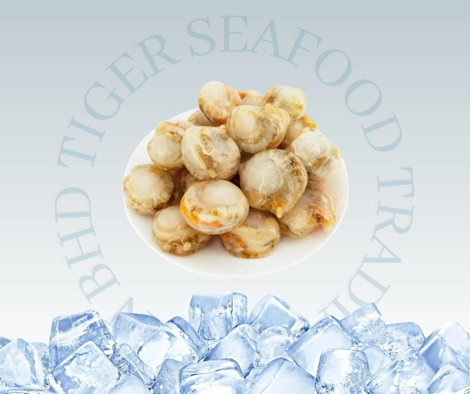 Scallop Type