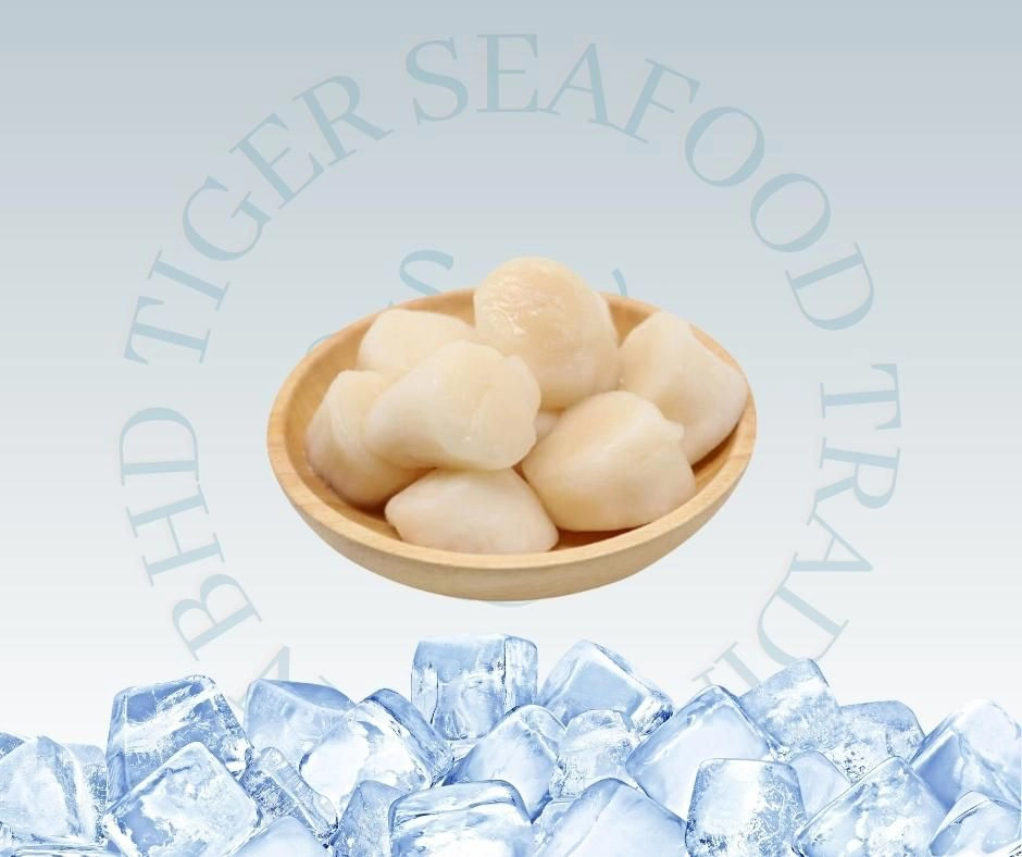 HOKKAIDO SCALLOP MEAT 1KG