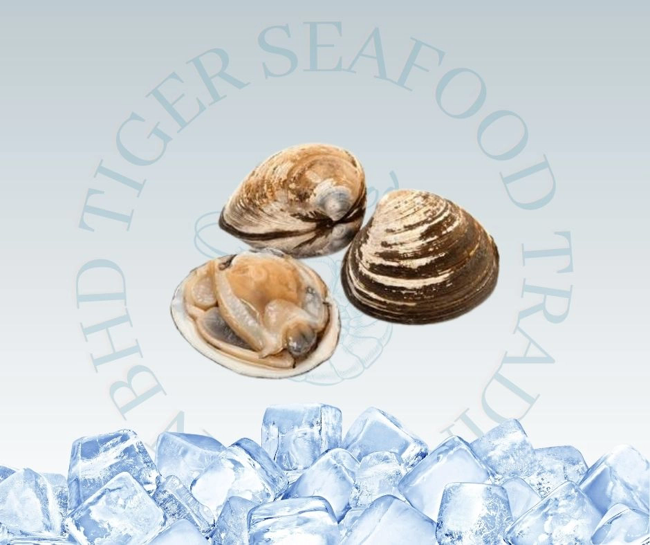 Shell Type