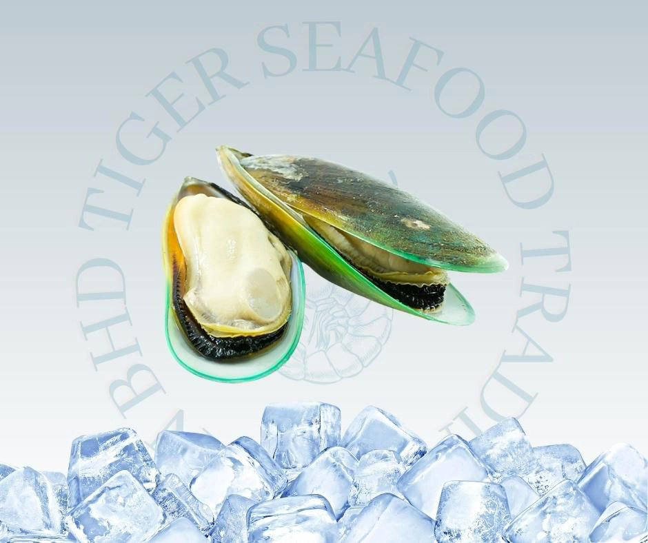 Full Shell Green Mussel 1KG