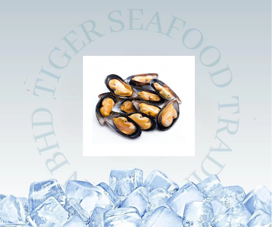 HALF SHELL BLUE MUSSEL 907G