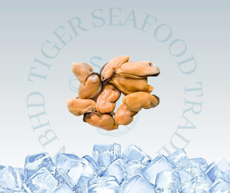 Mussel Meat 500G