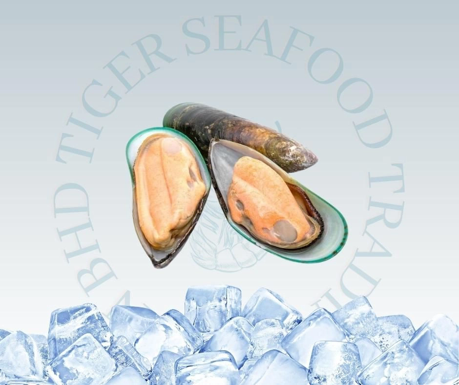 New Zealand Half Shell Green Mussel 800G