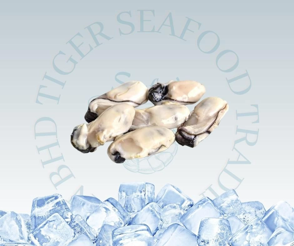 OYSTER MEAT 1KG