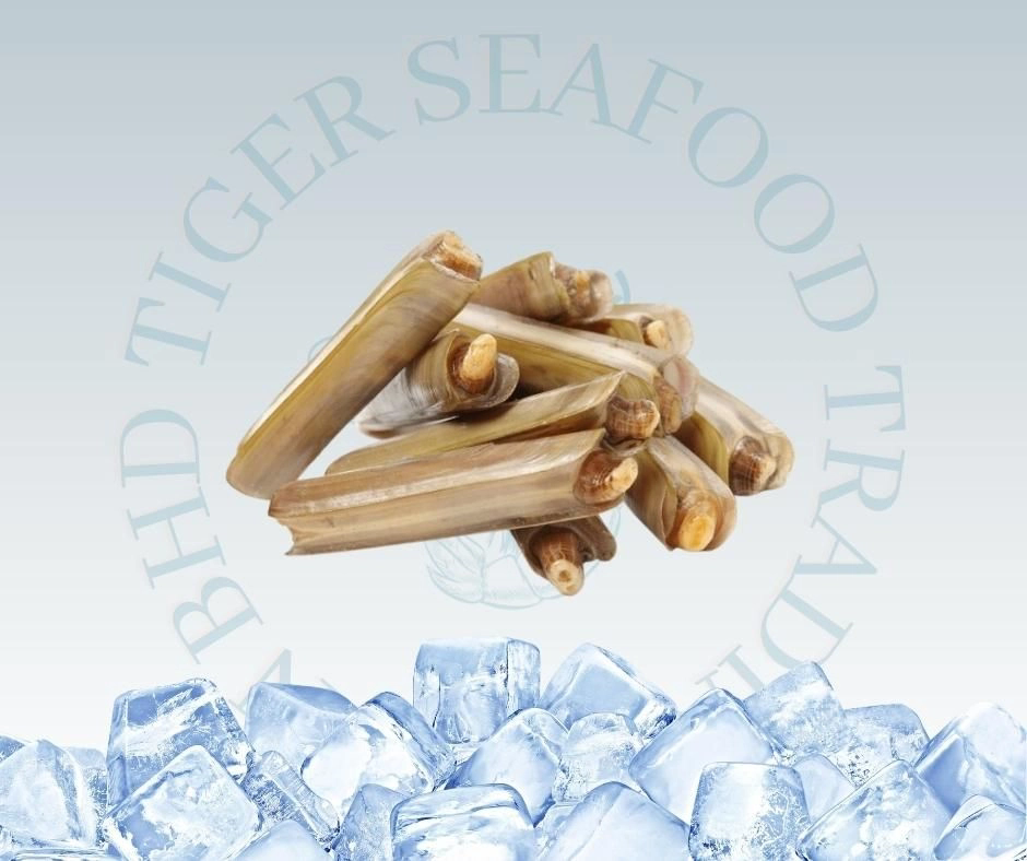 RAZOR CLAM 1KG