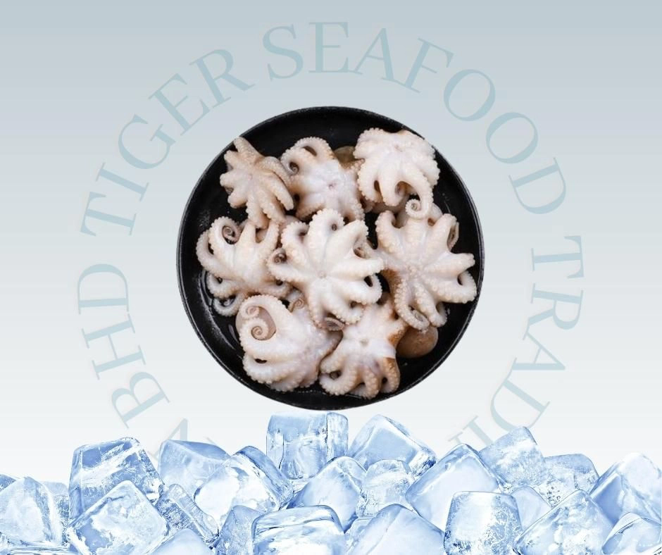 BABY OCTOPUS 250G